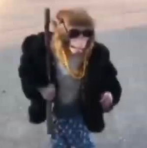 Meet your Posher, Kingston